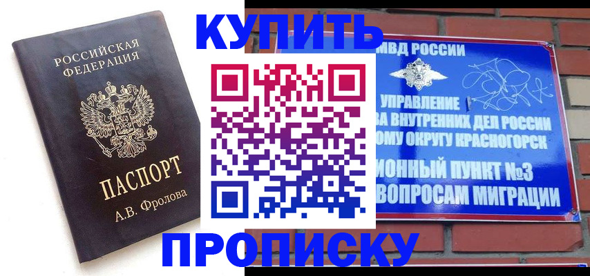 прописка поиск в Балтийске